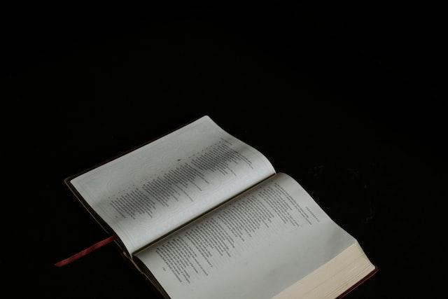 kat-kelley-7qDob-jidIA-unsplash Jak wybrać odpowiednią książkę obrazkową dla dziecka?