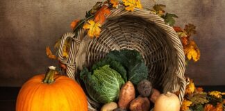 Czy ziemniak to jarzyna?
