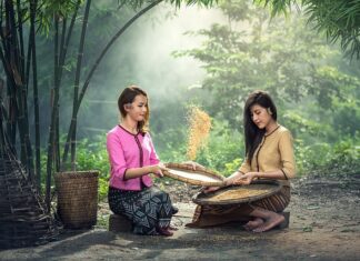 Czego po czym nie siać? Czego po czym nie siać?